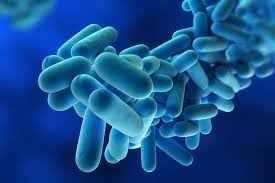 CONTROL DE LEGIONELLA